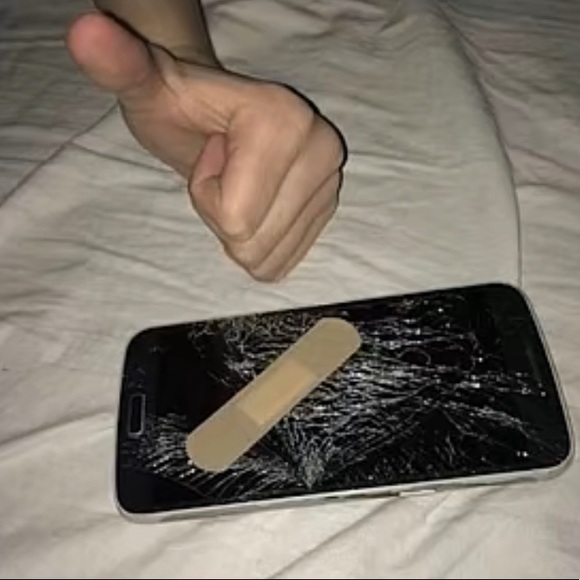 Meet your Posher, Chloe - Picture 1 of 1